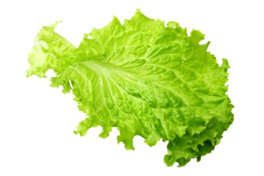beyaz bir arka plan üzerinde izole bir salata yaprağı 