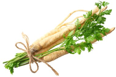 Beyaz arka planda izole edilmiş taze maydanoz kökü. en üstteki görünüm 