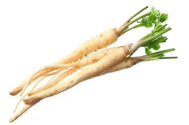 Beyaz arka planda izole edilmiş taze maydanoz kökü. en üstteki görünüm 