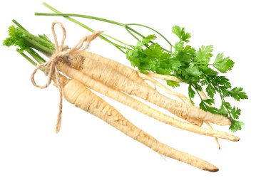 Beyaz arka planda izole edilmiş taze maydanoz kökü. en üstteki görünüm 