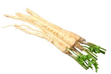 Beyaz arka planda izole edilmiş taze maydanoz kökü. en üstteki görünüm 