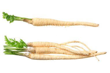 Beyaz arka planda izole edilmiş taze maydanoz kökü. en üstteki görünüm 