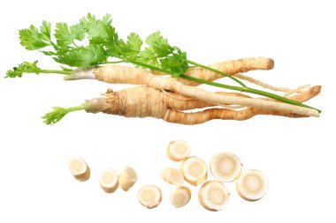 Beyaz arka planda izole edilmiş taze maydanoz kökü. en üstteki görünüm 