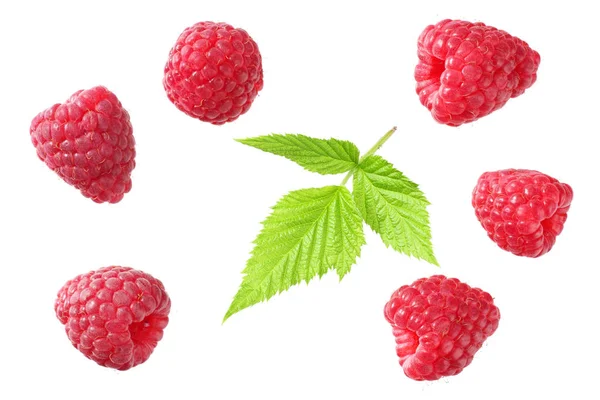 Olgun Ahududu yeşil yaprak beyaz arka plan üzerinde izole ile. üstten görünüm 