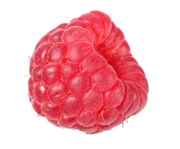 Beyaz arka planda izole edilmiş olgun bir ahududu. 