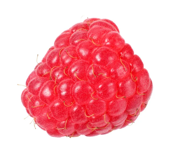 Beyaz arka planda izole edilmiş olgun bir ahududu. 