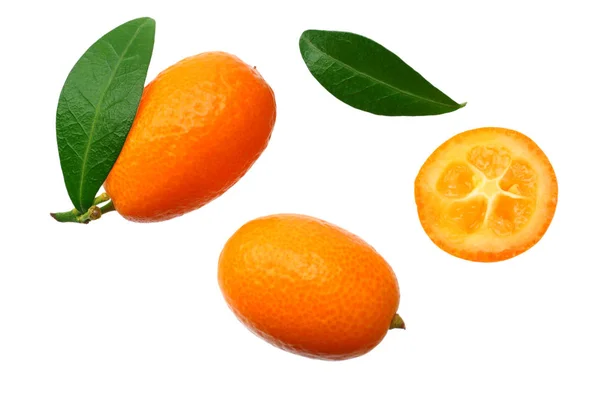 Cumquat ou kumquat avec des feuilles isolées sur fond blanc. vue de dessus — Photo
