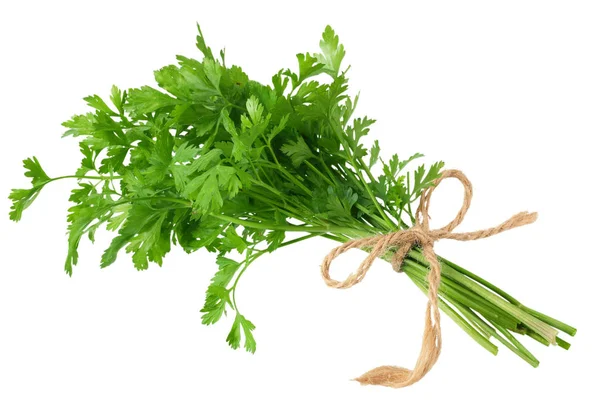 Green fresh parsley isolated on white background. parsley bunch — Stock Photo, Image