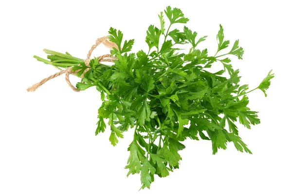 Green fresh parsley isolated on white background. parsley bunch — Stock Photo, Image