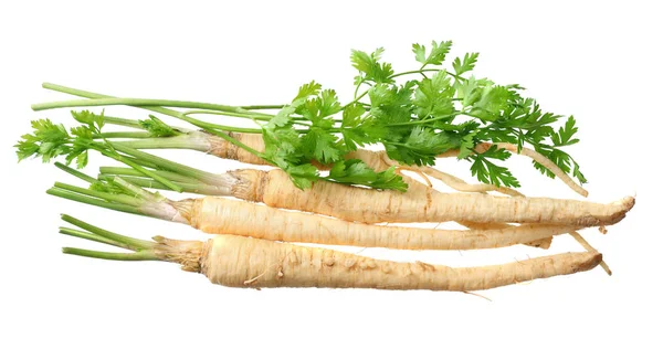 Beyaz arka planda izole edilmiş taze maydanoz kökü. en üstteki görünüm 