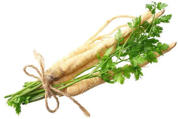 Fresh parsley root isolated on white background. top view — Stock Photo, Image