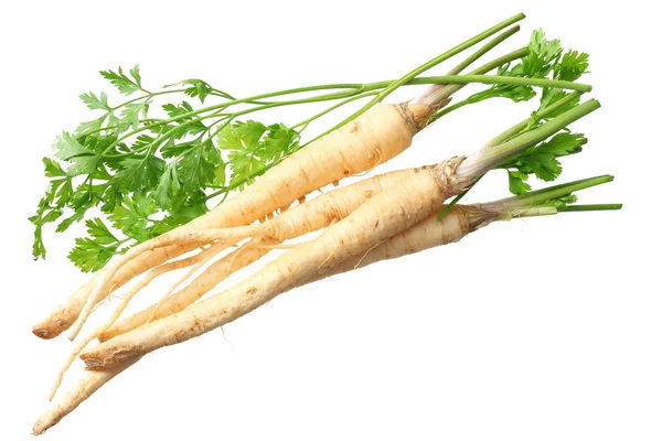 Beyaz arka planda izole edilmiş taze maydanoz kökü. en üstteki görünüm 