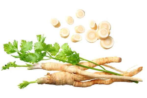 Fresh parsley root isolated on white background. top view — Stock Photo, Image