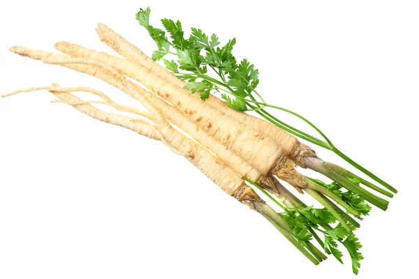 Fresh parsley root isolated on white background. top view — Stock Photo, Image
