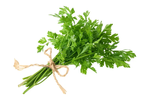 Green fresh parsley isolated on white background. parsley bunch Royalty Free Stock Photos