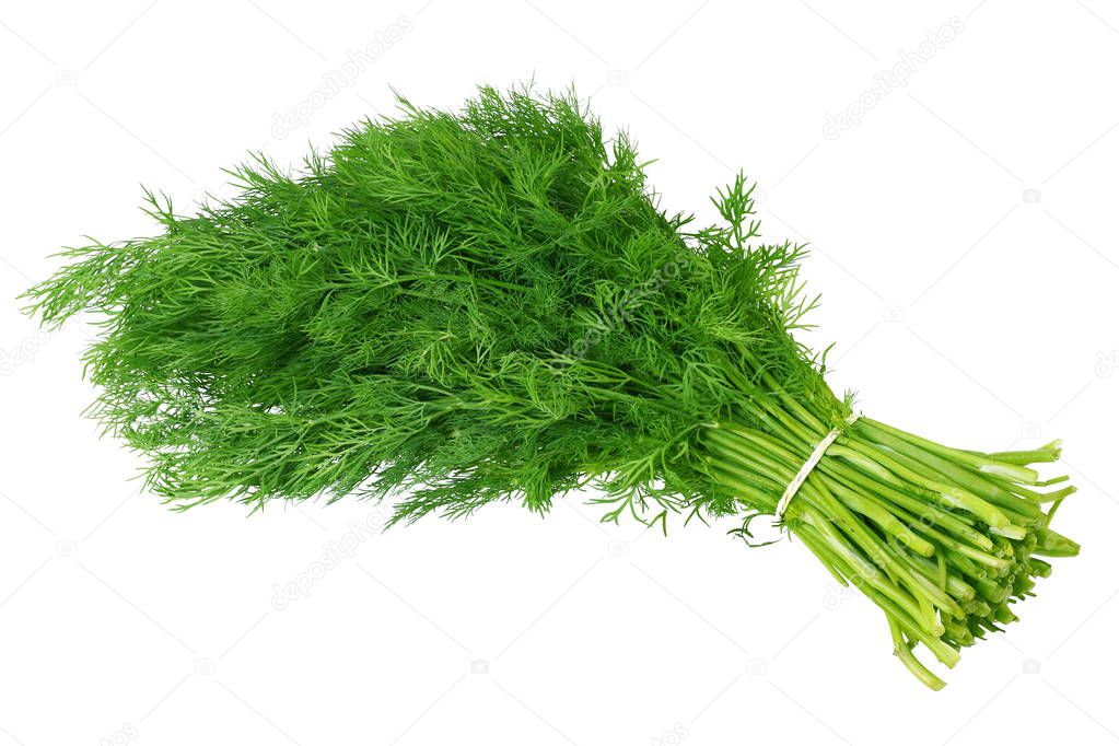 bunch of dill isolated on white background 