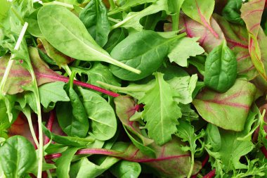 Farklı salata arkaplanlarının karışımı. salata dokusu