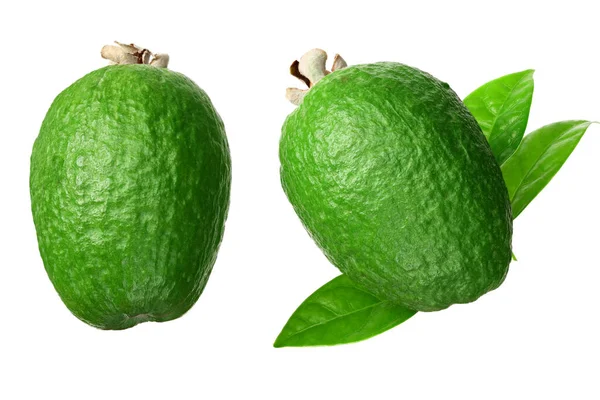 Frutta Tropicale Feijoa Isolato Sfondo Bianco Acca Sellowiana — Foto Stock