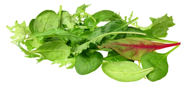 Mistura Diferentes Saladas Isoladas Fundo Branco — Fotografia de Stock