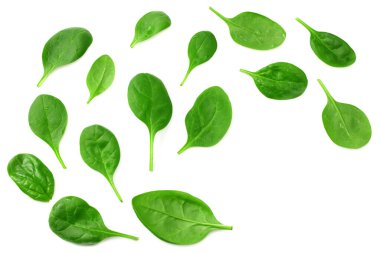 Beyaz arka planda izole edilmiş farklı salataların karışımı. en üstteki görünüm