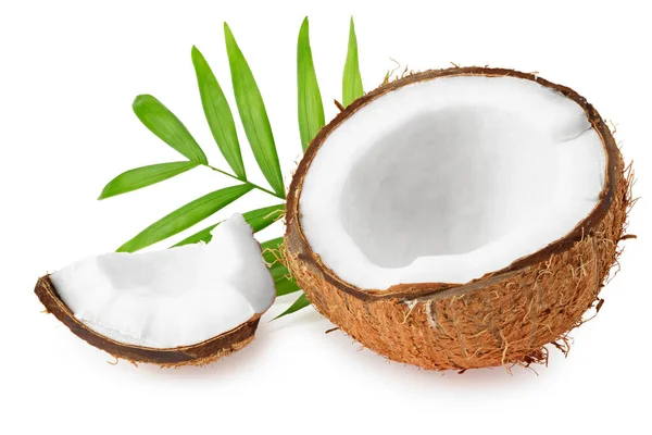 Kokosnöt Med Gröna Blad Isolerad Vit Bakgrund — Stockfoto