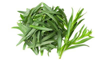 Tarhun yaprakları beyaz arkaplanda yalıtılmış. Artemisia dracunculus. en üstteki görünüm