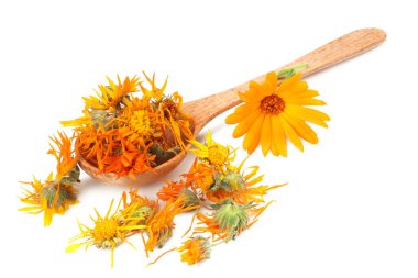 Beyaz arka planda yaprakları olan kadife çiçekleri. Calendula çiçeği.