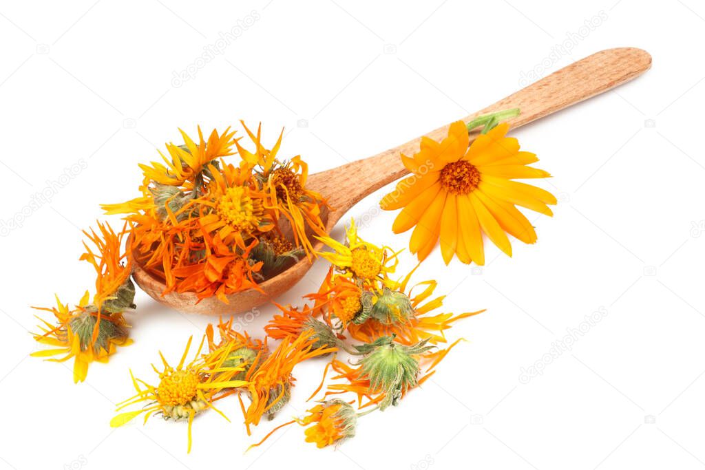 marigold flowers with petals isolated on white background. calendula flower.