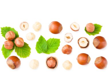 Beyaz arka planda yeşil yapraklı fındıklar. en üstteki görünüm