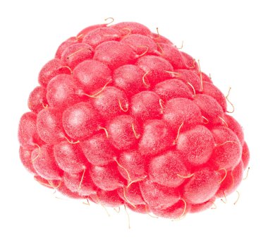 Beyaz arka planda izole edilmiş olgun bir ahududu.