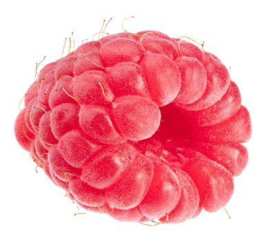 Beyaz arka planda izole edilmiş olgun bir ahududu.