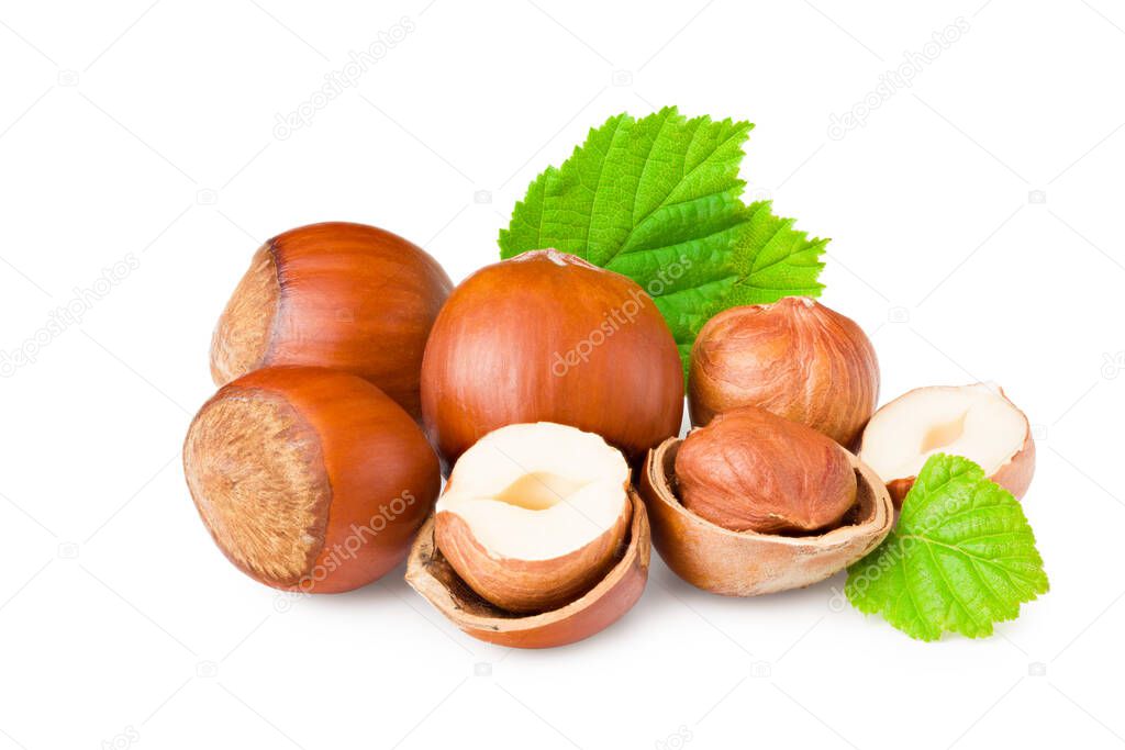 hazelnuts with green leaf isolated on white background