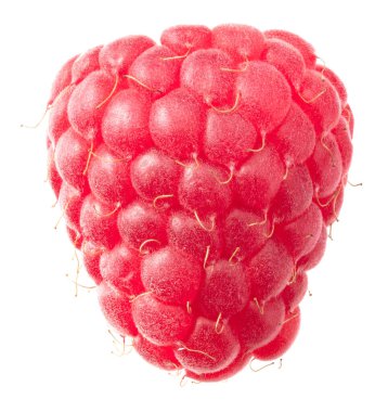 Beyaz arka planda izole edilmiş olgun bir ahududu.