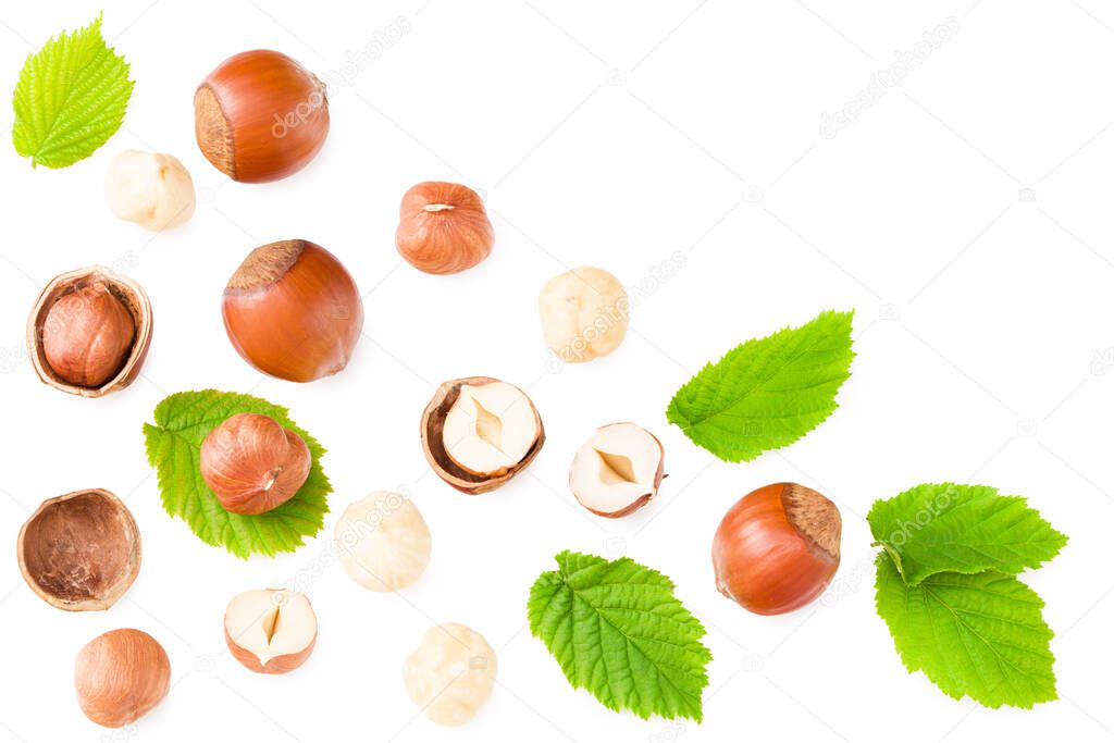 hazelnuts with green leaf isolated on white background. top view