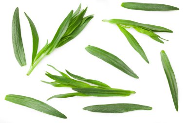 Tarhun yaprakları beyaz arkaplanda yalıtılmış. Artemisia dracunculus. en üstteki görünüm