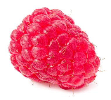 Beyaz arka planda izole edilmiş olgun bir ahududu.