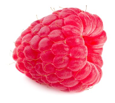 Beyaz arka planda izole edilmiş olgun bir ahududu.