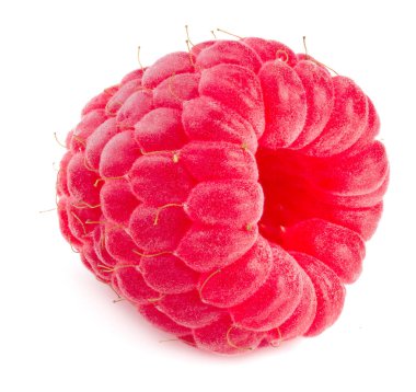 Beyaz arka planda izole edilmiş olgun bir ahududu.