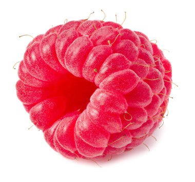 Beyaz arka planda izole edilmiş olgun bir ahududu.