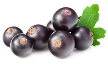 Beyaz arka planda yeşil yapraklı siyah frenk üzümü. makro