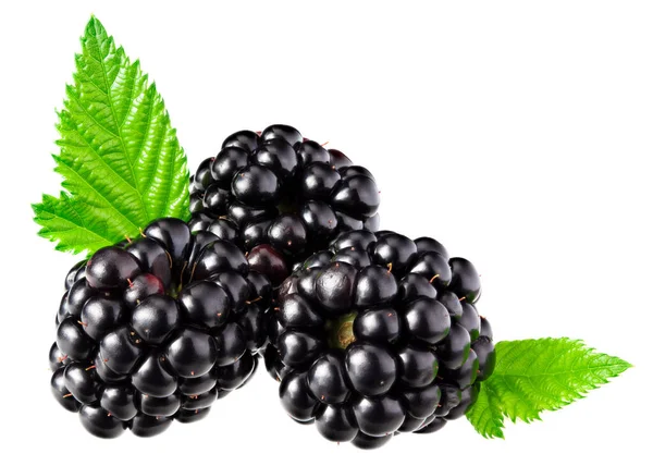 Brombeeren Mit Blättern Auf Weißem Hintergrund Gesunder Hintergrund — Stockfoto