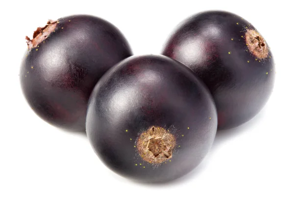 Black Currant Terisolasi Pada Latar Belakang Putih Makro — Stok Foto