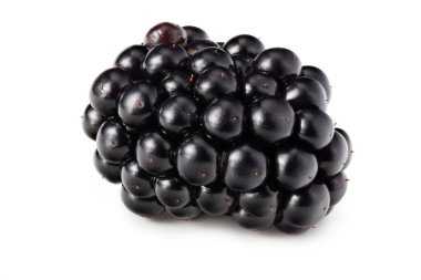 Beyaz arka planda izole edilmiş böğürtlen. Sağlıklı geçmiş. makro