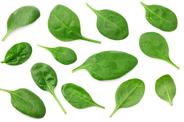 菠菜叶子在白色背景上隔离 健康食品 顶部视图 — 图库照片