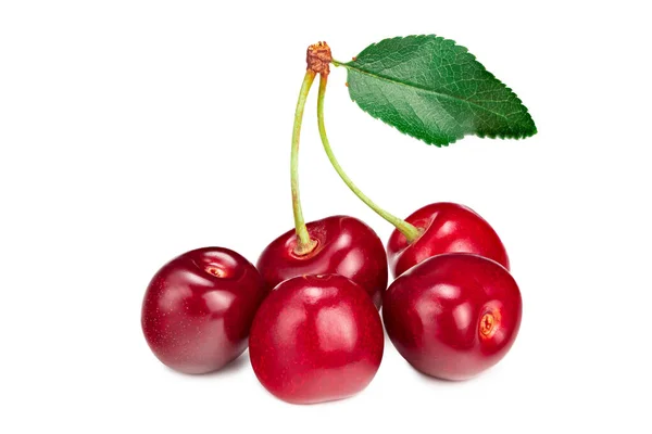 Fruta Cereza Roja Con Hoja Verde Aislada Sobre Fondo Blanco —  Fotos de Stock