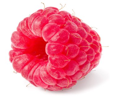 Beyaz arka planda izole edilmiş olgun bir ahududu.