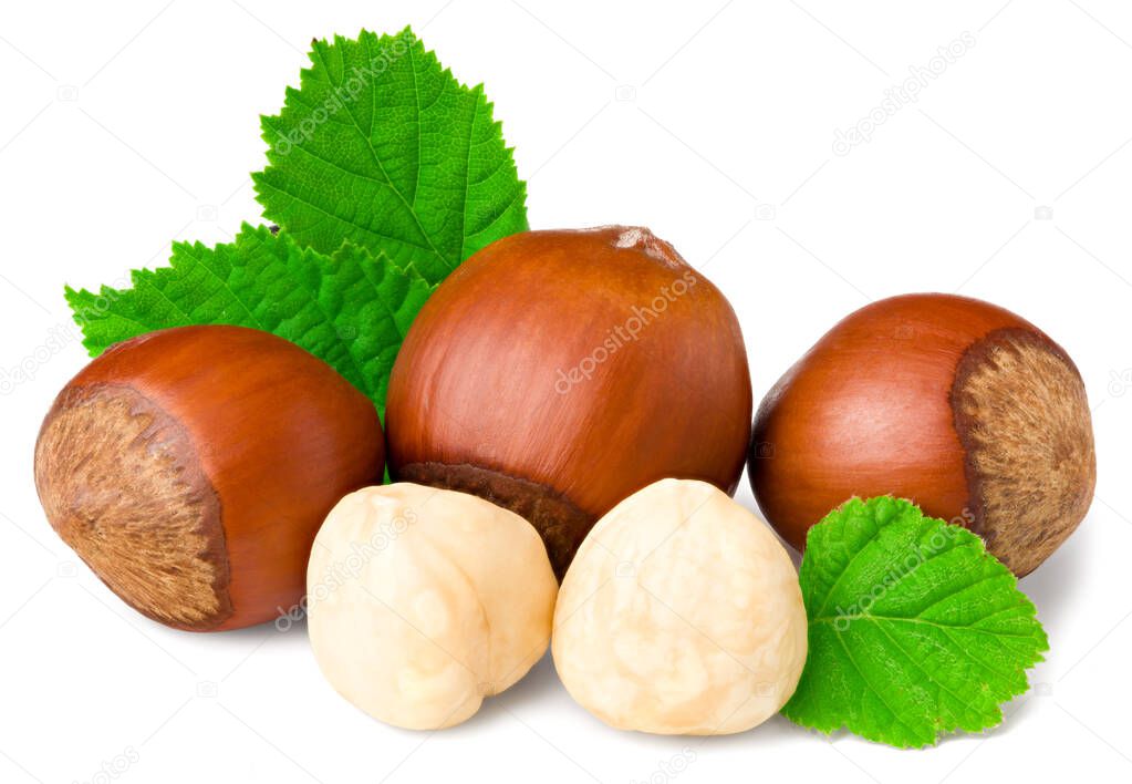 hazelnuts with green leaf isolated on white background