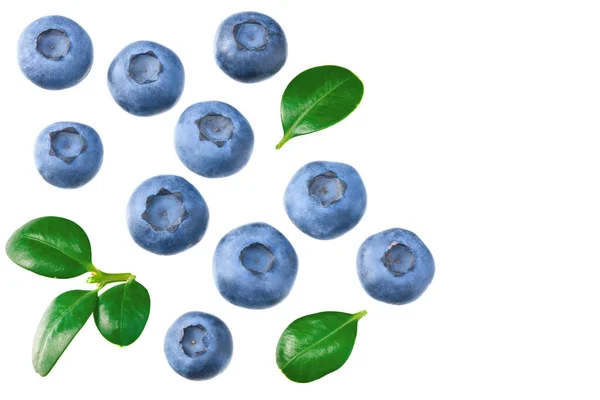 Blueberries Leaves Isolated White Background Top View Healthy Background — Stock Photo, Image