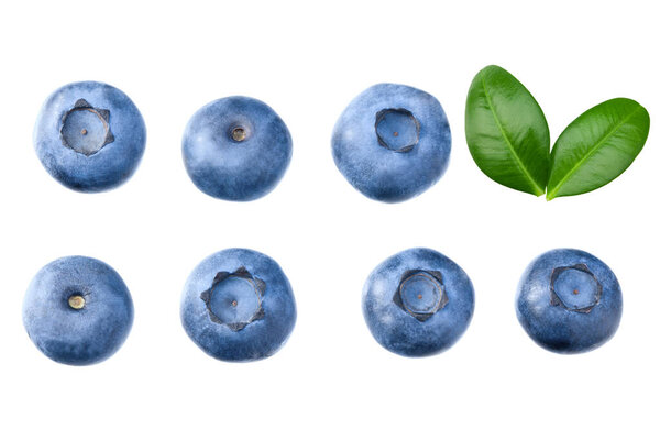 blueberries with leaves isolated on white background. top view. healthy background.