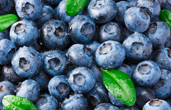 Healthy Background Blueberry Texture Blueberries Background Fruit Background — Stock Photo, Image